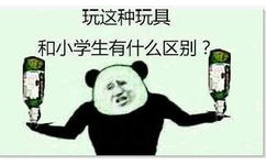 玩这种玩具和小学生有什么区别？（玩瓶子）