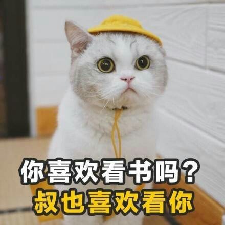 你喜欢看书吗?叔也喜欢看你 - 土味情话合集