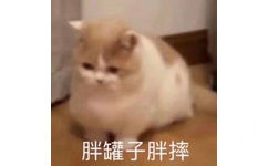 胖罐子胖摔(猫咪表情包)