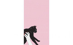 文艺风壁纸 猫咪 - 一组简约的文艺风壁纸