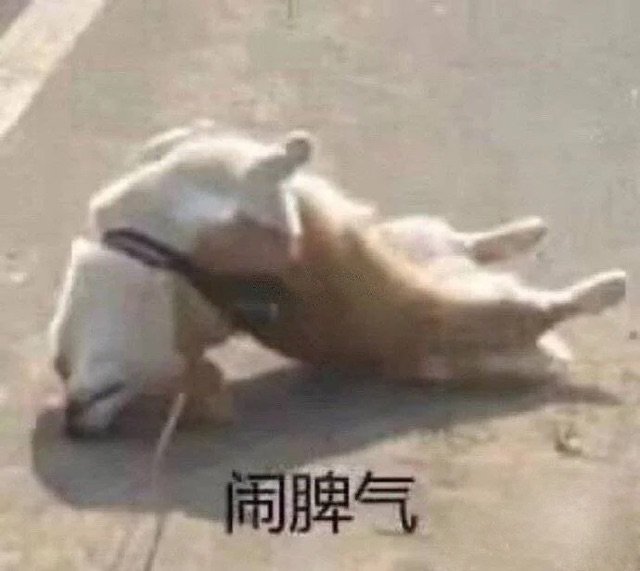 闹脾气