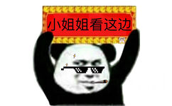 小姐姐看这边（举牌熊猫头 ​）