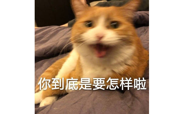 你到底是要怎样啦 - 猫星人表情包第十弹