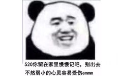 答520你留在家里慢慢记吧,别出去不然弱小的心灵容易受伤emmm - 熊猫头520写日记记仇系列