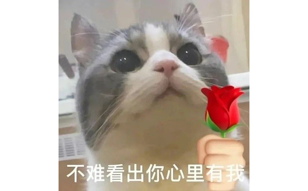 不难看出你心里有我 猫咪举花 - 猫咪举花花表情包