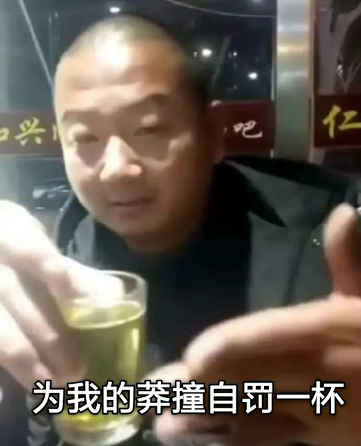 为我的莽撞自罚一杯