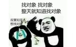 找对象找对象整天就知道找对象寂寞如想找对象 - 熊猫头斗图表情包