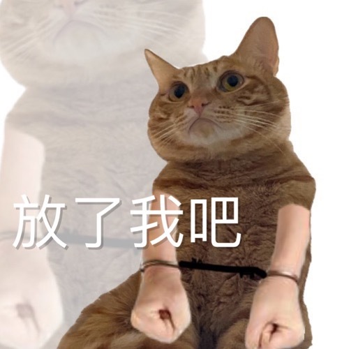 放了我吧 - 猫猫表情包