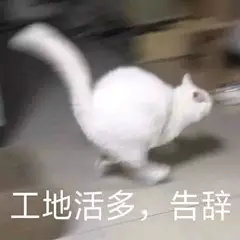 工地活多,告辞(猫咪表情包)