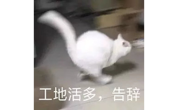 工地活多,告辞(猫咪表情包)