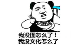 我没图怎么了!我没文化怎么了