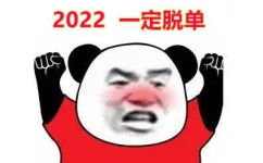 2022一定脱单(熊猫头表情包)