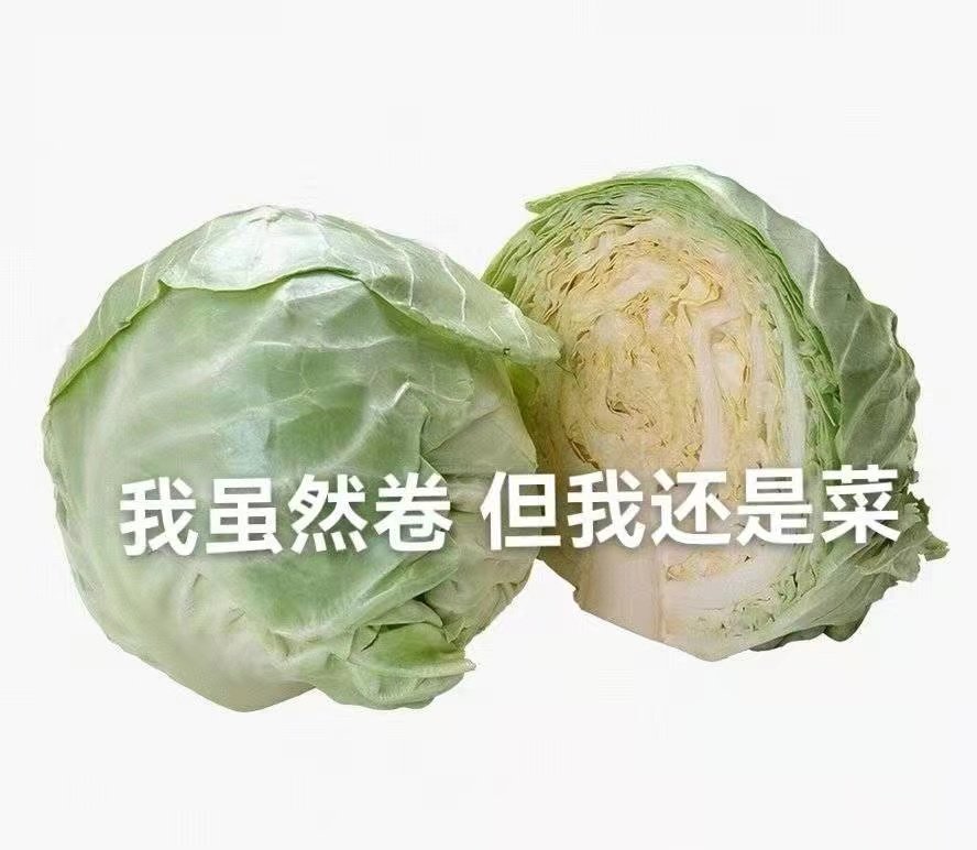 我虽然卷但我还是菜