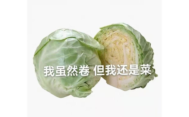 我虽然卷但我还是菜