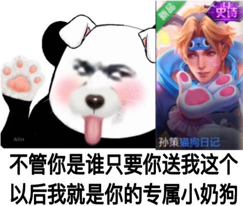 孙策猫狗日记不管你是谁只要你送我这个以后我就是你的专属小奶狗