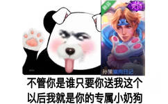 孙策猫狗日记不管你是谁只要你送我这个以后我就是你的专属小奶狗