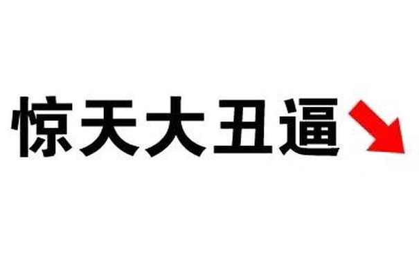 惊天大丑逼 - 全文字表情包