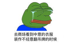 去商场看到中意的衣服，装作不经意翻吊牌的时候 - 真的太穷了（sadfrog）