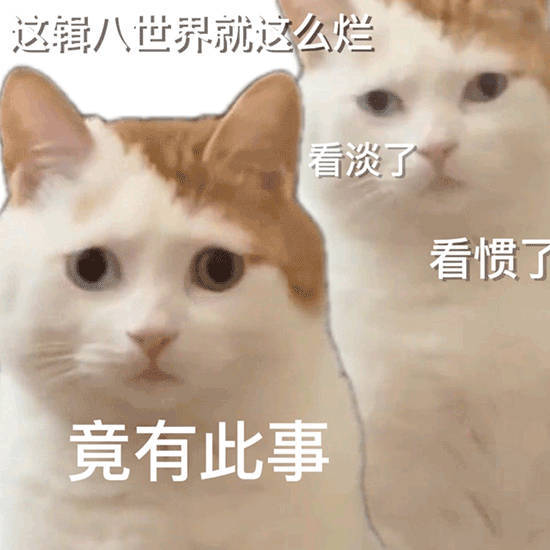 这辑八世界就这么烂看淡了看惯了竟有此事(猫猫表情包)