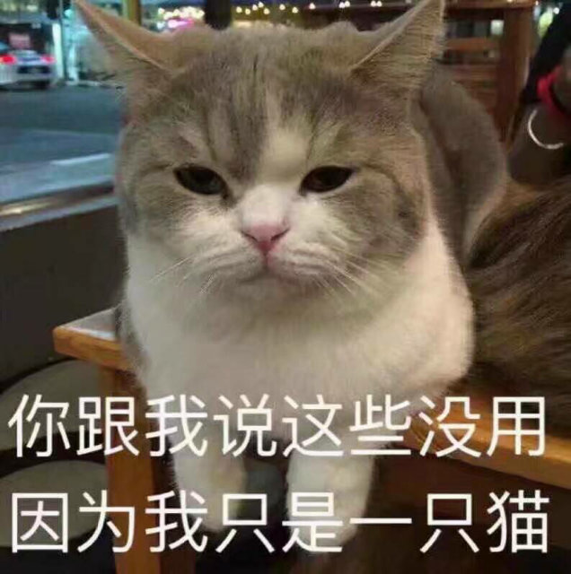 你跟我说这些没用因为我只是一只猫