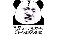 why 为什么你这么傻逼