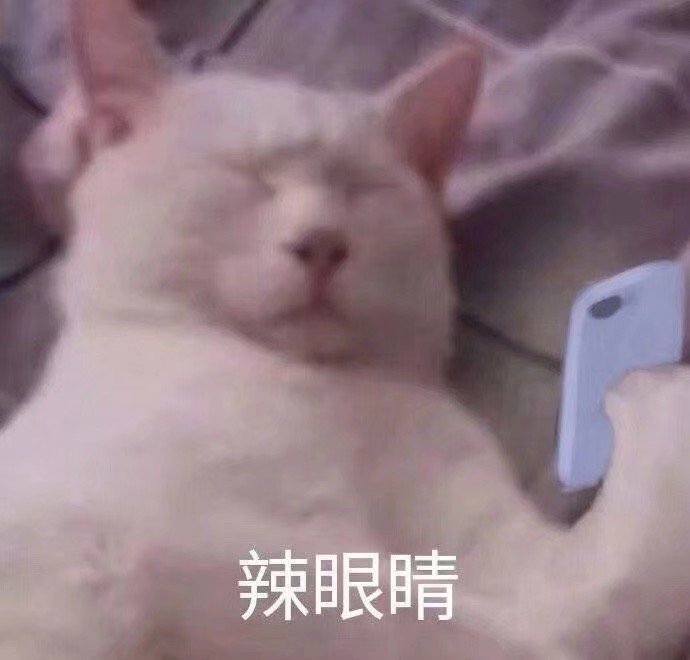 辣眼睛(猫咪表情包)