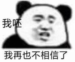 我呸我再也不相信了(熊猫表情包)