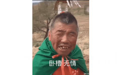 卧槽 无情 GIF 动态表情包