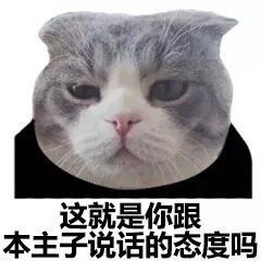 这就是你跟本主子说话的态度吗 - 猫脸熊猫人表情包