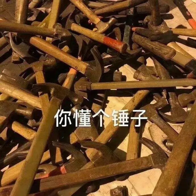 你懂个锤子