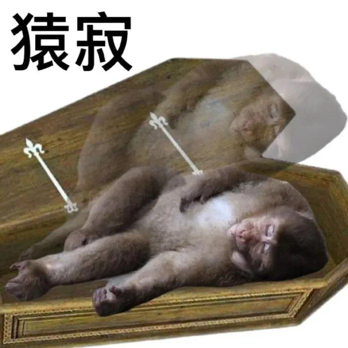 猿寂3