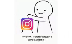 Instagram，你已经是个成熟的软件了。该学会自己加滤镜了 - 「你已经是个成熟的软件了」系列