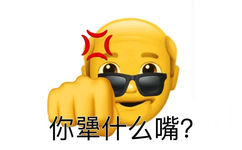 你犟什么嘴?