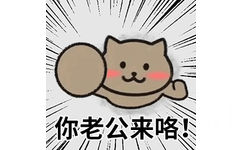 你老公来咯(猫猫头表情包)