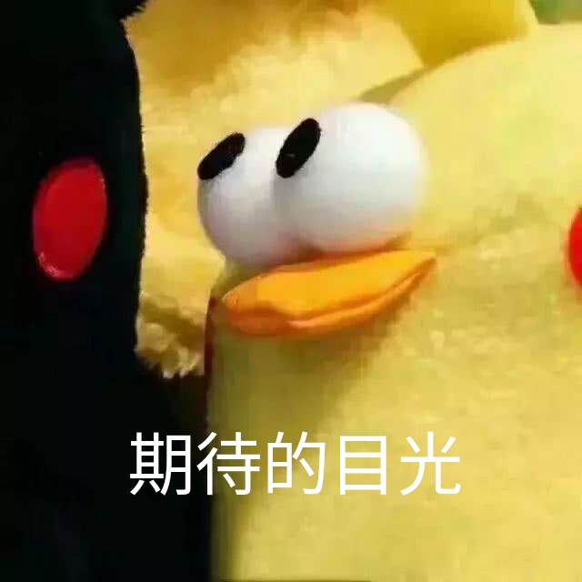 期待的目光