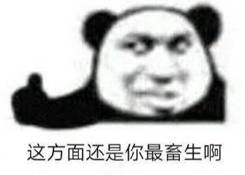 这方面还是你最畜生啊