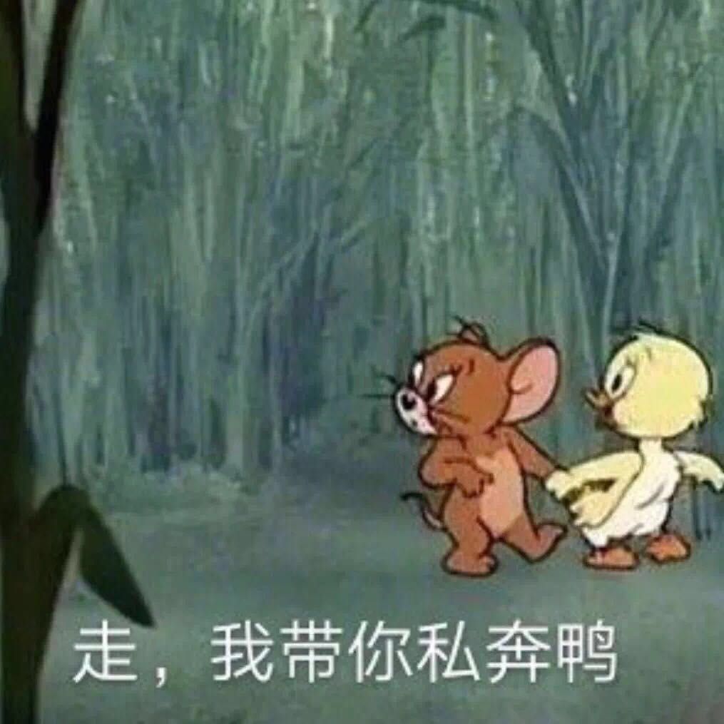 走，我带你私奔鸭