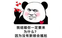 我结婚你一定要来为什么?因为没有新娘会尴尬(熊猫头表情包)