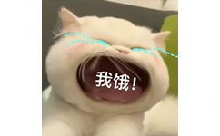 我饿! - 大嘴猫猫咪表情包