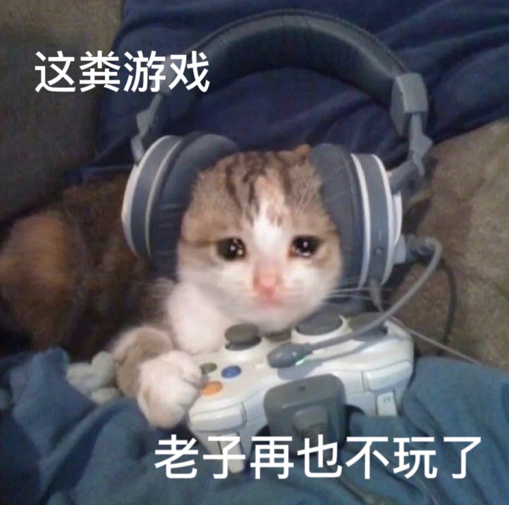 这粪游戏老子再也不玩了(流泪猫猫头表情包)