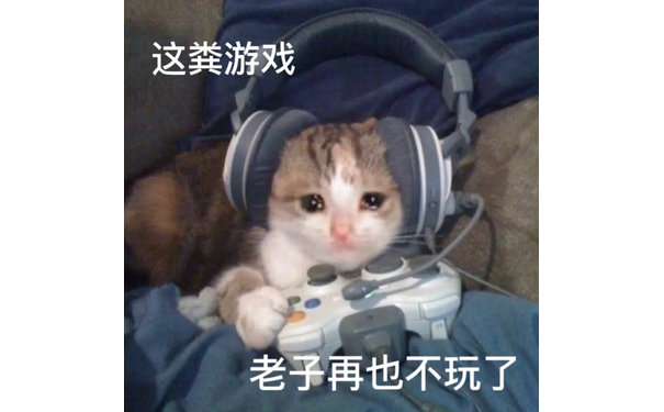 这粪游戏老子再也不玩了(流泪猫猫头表情包)