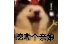 挖嘞个亲娘