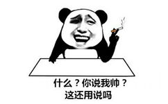 什么？你说我帅？这还用说吗？