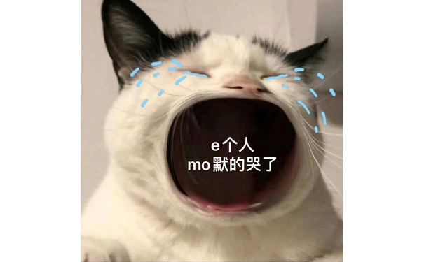 e个人mo默的哭了 - 猫咪张大嘴哭大嘴猫表情包