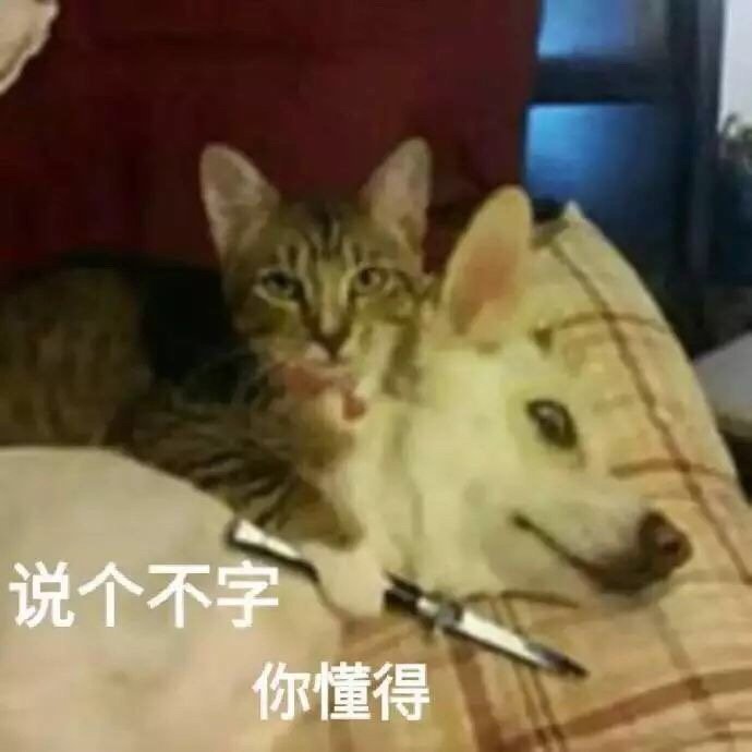 说个不字 你懂得（狗狗表情包）