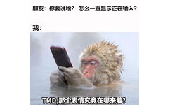 朋友:你要说啥?怎么一直显示正在输入?我:TMD那个表情究竟在哪来着?