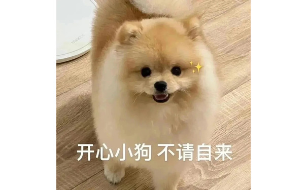 开心小狗不请自来