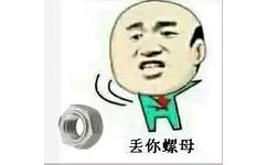 丢你螺母 - 丢你螺母！