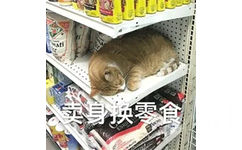 卖身换零食（猫猫表情包）