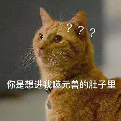 你是想进我噬元兽的肚子里？？ - 《惊奇队长》 噬元兽橘猫表情包